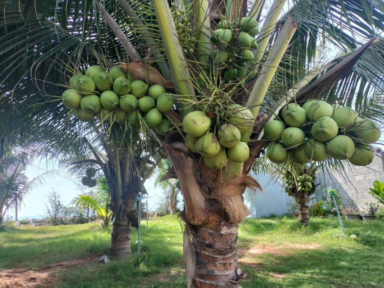 Bien Ngoc Homstay Phan Thiet Kültér fotó
