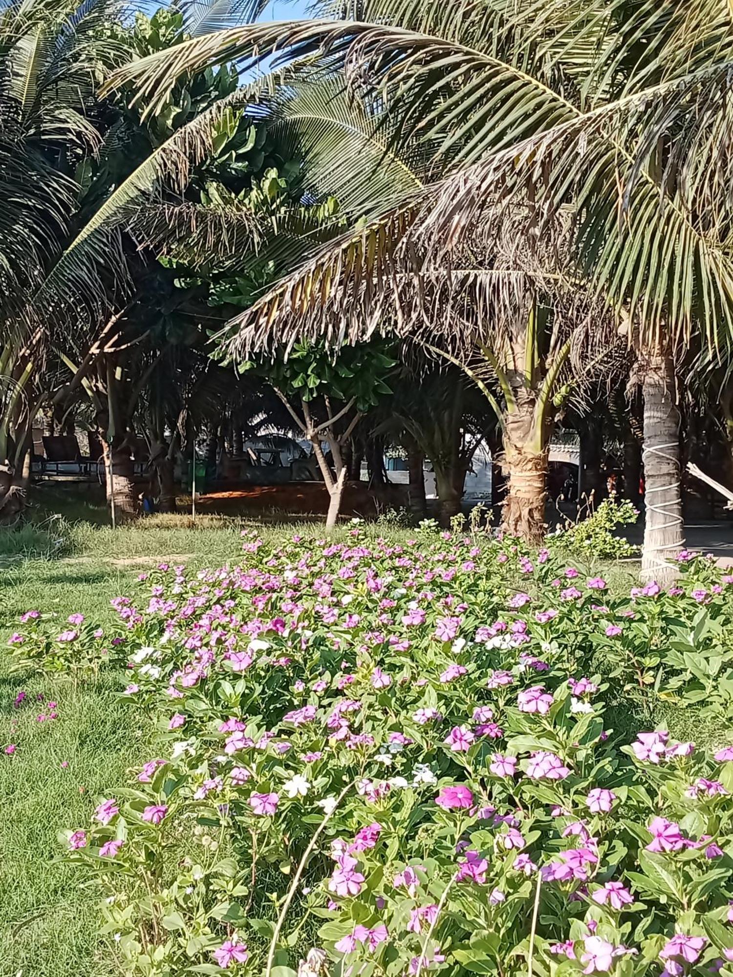Bien Ngoc Homstay Phan Thiet Kültér fotó