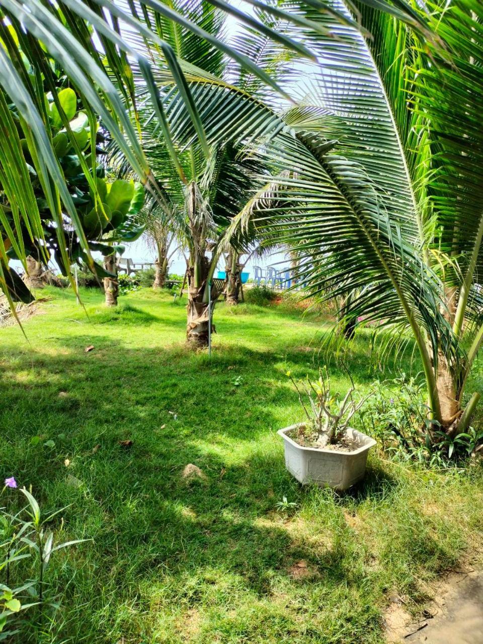 Bien Ngoc Homstay Phan Thiet Kültér fotó